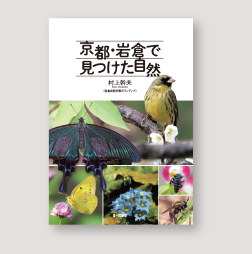 出版事例